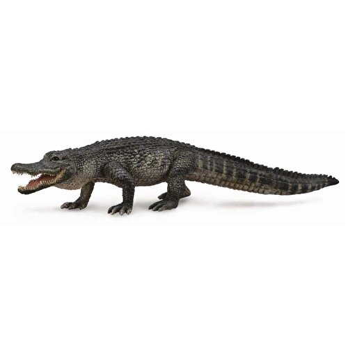 Collecta America Aligator