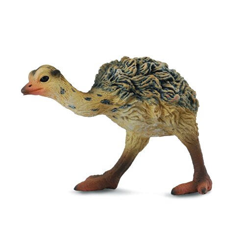 Collecta Baby Ostrich