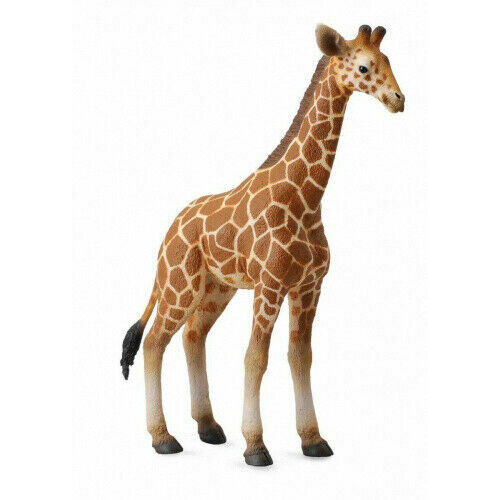 Collecta Baby Reticulated Giraffe