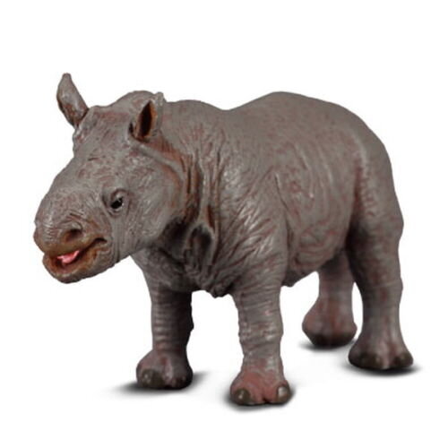 Collecta Baby Rhinoceros