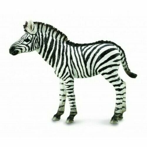 Collecta Baby Zebra