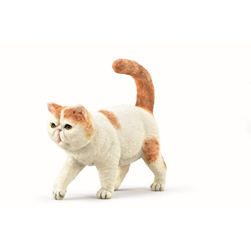 Collecta Exotic Shorthair