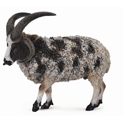 Collecta Jacob Sheep