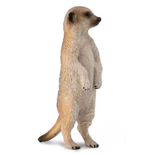 Collecta Meerkat Standing