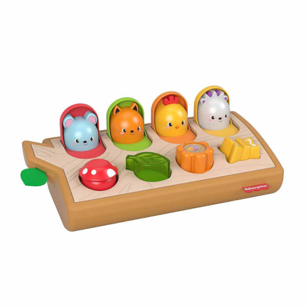 Fisher Price Surprise Friends GJW24