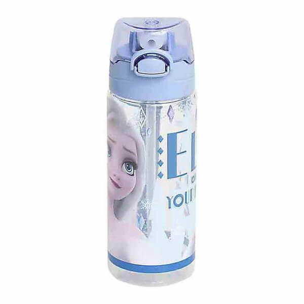 Frozen Own Your Destiny Flask 500 ml 41427