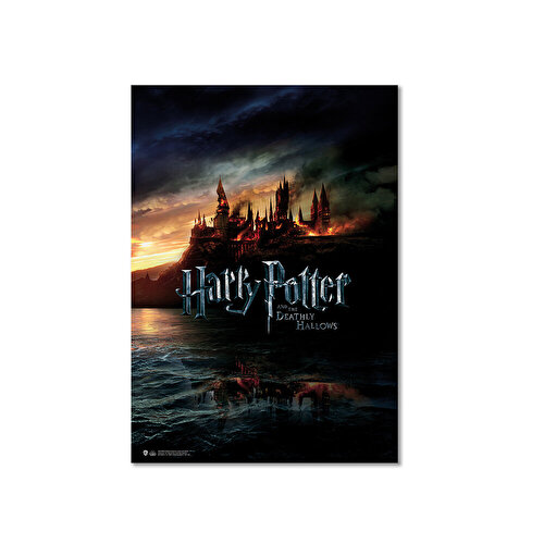 Плакат Wizarding World Harry Potter - Deathly Hallows Part 1. Хогвартс