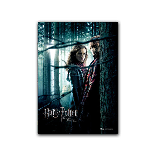 Плакат Wizarding World Harry Potter - Deathly Hallows Part 1. Рон ве Гермиона