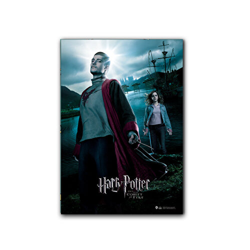 Плакат Wizarding World Harry Potter - Goblet of Fire. Виктор и Гермиона