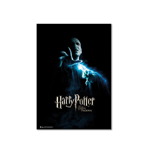 Плакат Wizarding World Harry Potter - Order of the Phoenix. Волдеморт