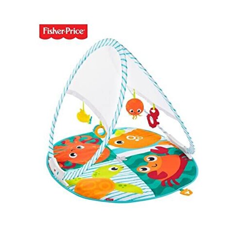 Портативный гимнастический центр Fisher Price Colourful Friends FXC15