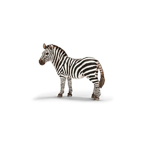 Schleich Dişi Zebra