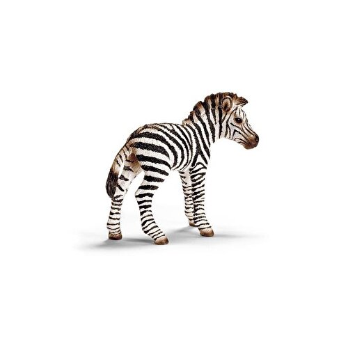 Schleich Yavru Zebra