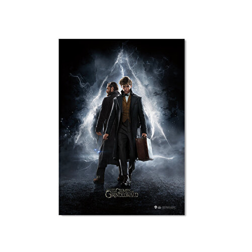 Wizarding World Fantastic Beasts Poster - The Crimes of Grindelwald. Скамандер и Дамблдор