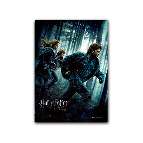 Wizarding World Harry Potter Poster - Deathly Hallows Part 1 Afiş