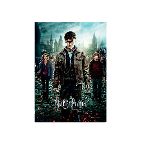 Wizarding World Harry Potter Poster - Deathly Hallows Part 2. Гарри. Рон ве Гермиона