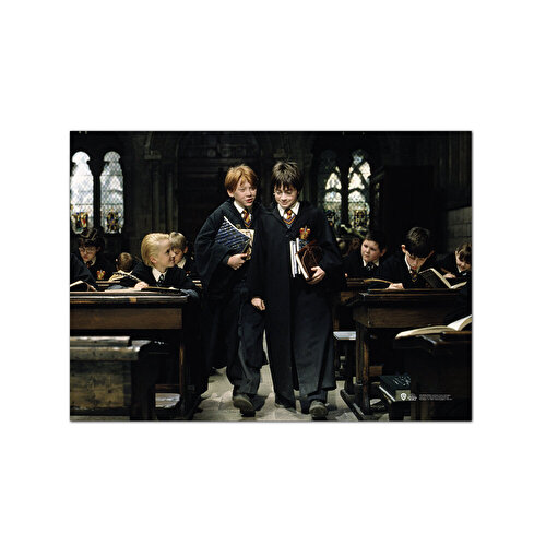 Wizarding World Harry Potter Poster - Sorcerer's Stone. Гарри и Рон